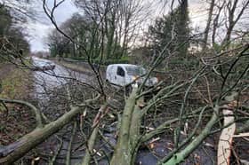 A fallen tree on Ringinglow Road in Sheffield in December 2023.