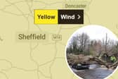 A yellow weather warning has been issued for Sheffield and much of North East England on December 24 warning of strong winds.