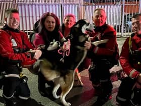 Siberian Huskies Angel and Sonic were very happy to be rescued from a canal near Parkgate Shopping Centre by the crew at Aston Park Fire Station.