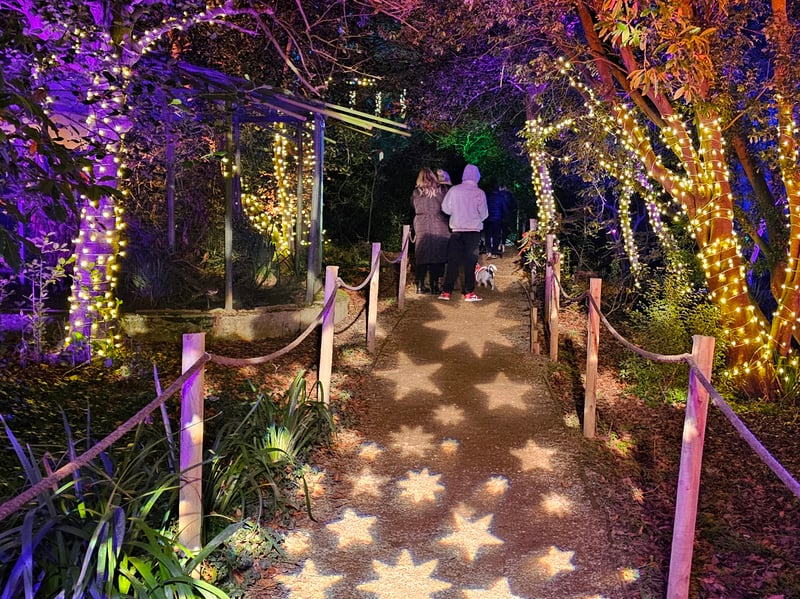 The starry path leads to the duck pond.