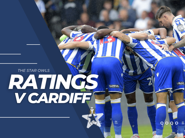 Sheffield Wednesday fell to a late 2-1 defeat to Cardiff City.