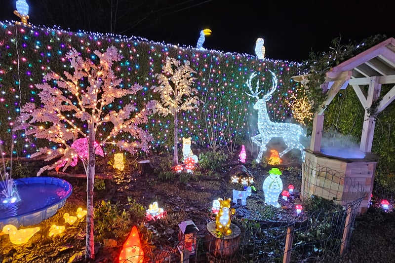 The magic well, light trees and forest animals make the display look like a magic forest.
