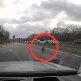 Dashcam footage has captured the moment the M1 near Sheffield was brought to a standstill after a dog ran onto the motorway. Video credit Chris Madden 