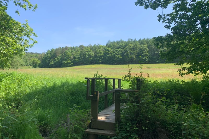 Wharncliffe and Greno Woods Loop is a 9.1 mile walk that offers the chance to see wildlife and is good for all skill levels. These ancient woodlands and forested areas stretch for miles around and you can easily spend a whole day walking through them.