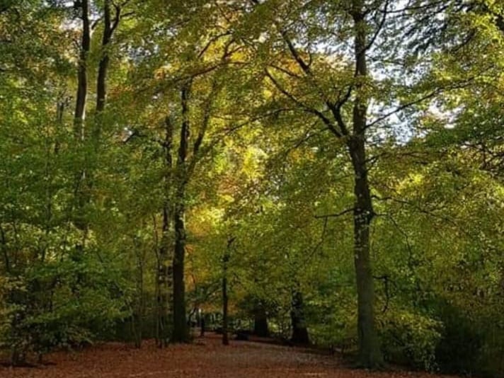 This 100-acre green space features lovely woodland trails and open meadows. It’s historic (Grade II listed) and ideal for a peaceful walk. The café is at The Pavilion near Lightwoods Hill — the café menu includes full breakfasts, cakes and snacks.
