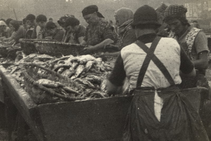 Fishwives sorting fish at North Shields in c.1950s.