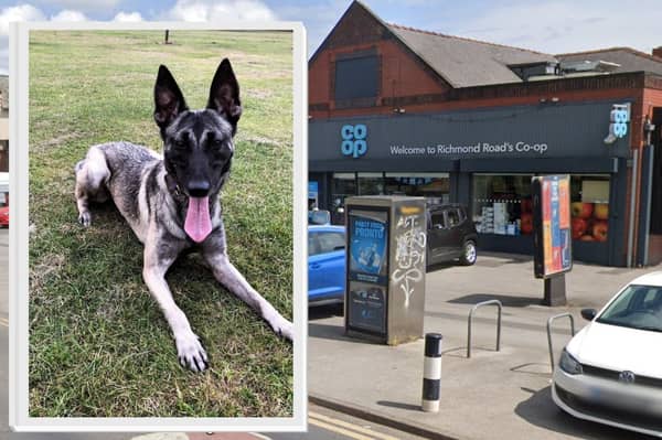A police dog, Kiki, was dispatched to deal with a suspected burglary at the Co-op on Richmond Road, Richmond, Sheffield. Picture: South Yorkshire Police / Google