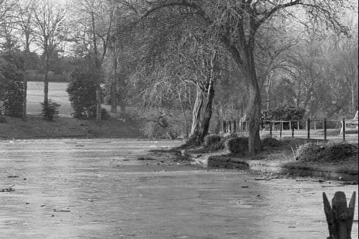 Barnes Park pond was freezing in this scene from January 1979.