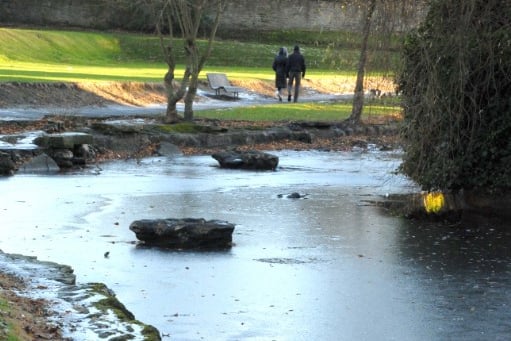 Ice on the pond at Doxford Park as we head back to 2008.