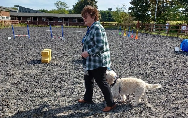 Brenda Blethyn and her dog Jack visit the Washington Riding Centre where the Tyne & Wear Riding for the Disabled charity is based.