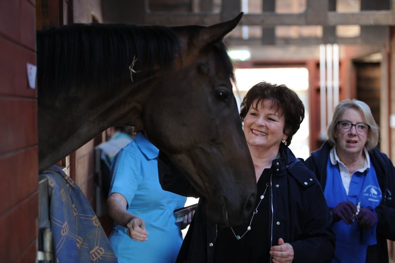 Leading Vera actress Brenda Blethyn visiting Tyne and Wear Riding for the Disabled at the Washington Riding Centre.