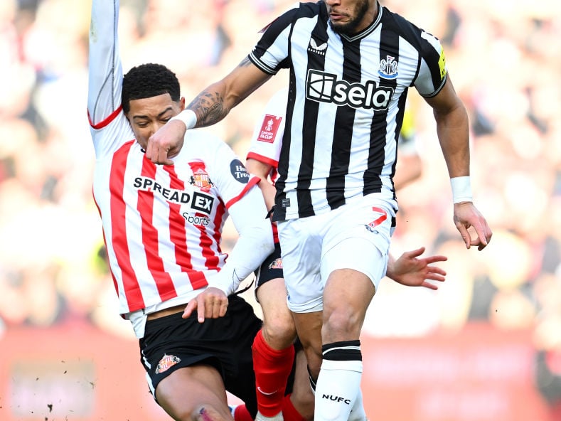 Stamped his authority and bullied the Sunderland midfield. Played a key role in Newcastle taking the lead as his cross was turned in by Sunderland's Dan Ballard. Withdrawn for the second half after picking up a knock.