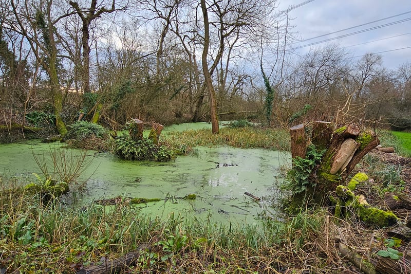 Monk's Pool LNR has a complex of four interconnecting ponds which were believed to be used to stock fish in the Middle Ages by a rest house on the nearby Gloucester Road. The ponds would have been connected by a series of channels and sluices to enable fish to be moved from pond to pond as they grew after probably being caught as young from the nearby River Frome or in Bradley Brook. Whilst the sluices are long gone, the channels remain to date.
