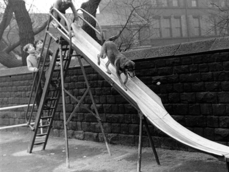 Youngsters prepare to follow a dog down the slide at Countess Road playground in April 1962