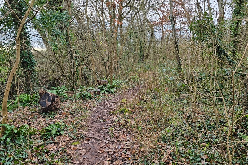 Visitors can enjoy forest paths through the woodland at Bradley Brook LNR and Monk's Pool LNR. Be warned, however, that the paths are very muddy during and after rainy days.
