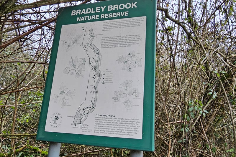 The information board near the entrance provides a map and details of the flora visitors may encounter.
