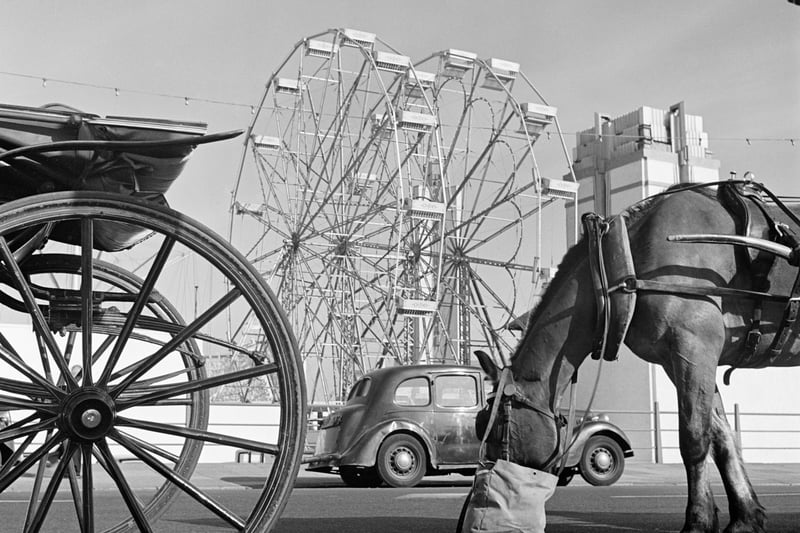 Blackpool Pleasure Beach, 1946-1955.  A horse-drawn carriage along the promenade provides a more sedate form of entertainment