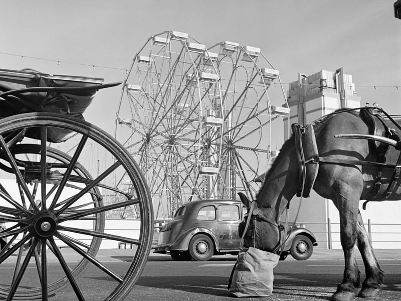 Blackpool Pleasure Beach, 1946-1955. A horse-drawn carriage along the promenade provides a more sedate form of entertainment