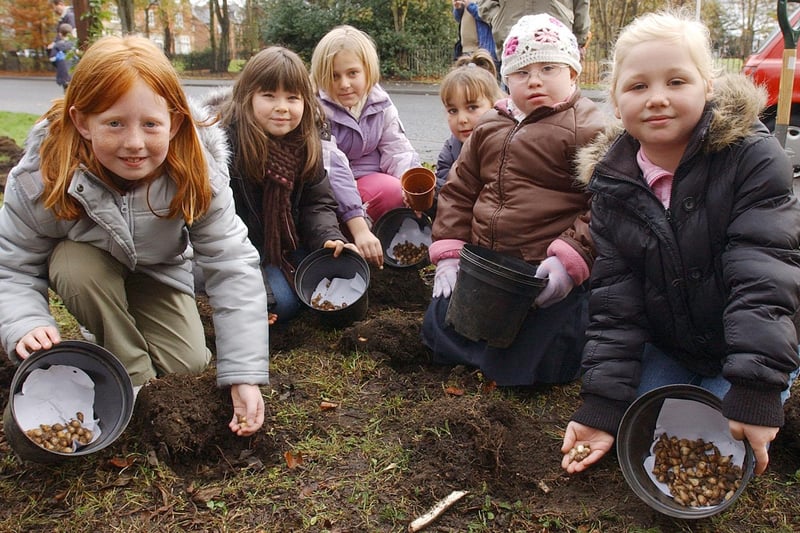 These pupils were planting snowdrops in 2007, as part of the Northumbria in Bloom campaign.