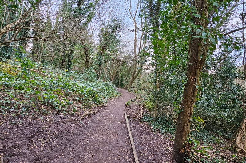 Visitors can enjoy forest trails through the woodland path at Manor Woods Valley. Be warned, however, that the paths are made of dirt and can become slippery and muddy during and after rainy days.
