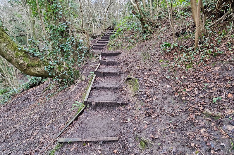 Multiple wooden steps connect the woodland path to the trails by the river.