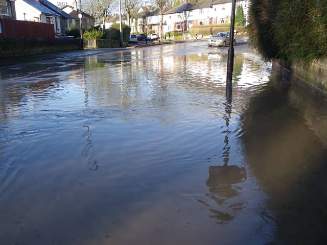 Eight-year-old Robin Hastie captured this photos of flooding caused by a burst water main on Carfield Avenue. 