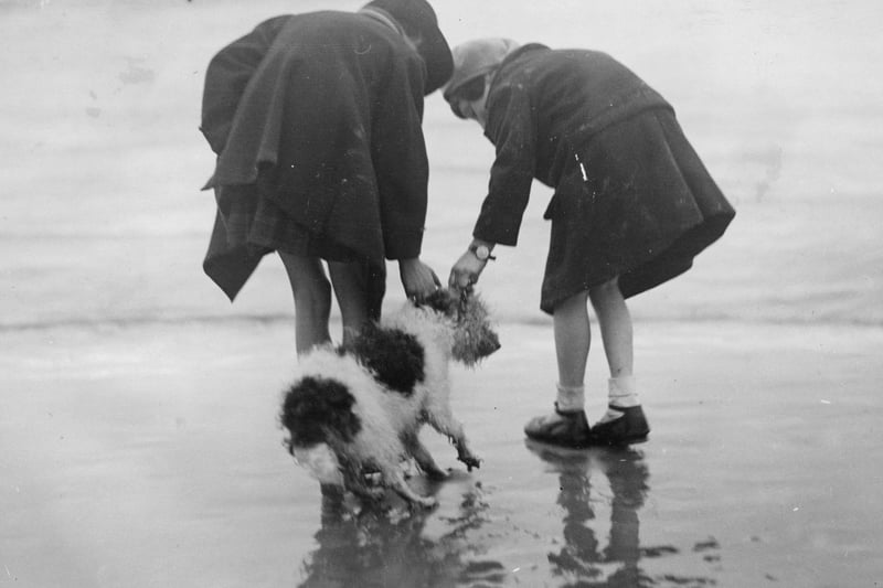 9th December 1933:  Two young children with a dog on the beach at Blackpool.  (Photo by George W. Hales/Fox Photos/Getty Images)