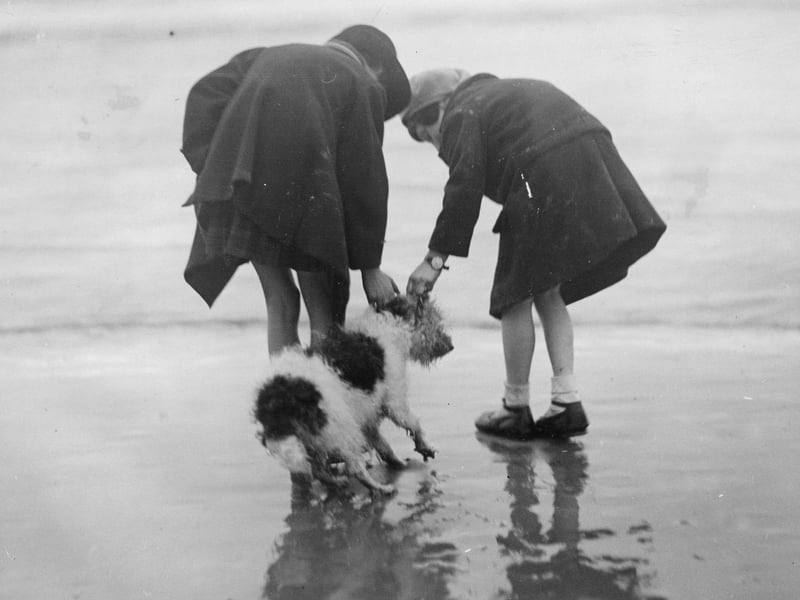 9th December 1933: Two young children with a dog on the beach at Blackpool. (Photo by George W. Hales/Fox Photos/Getty Images)