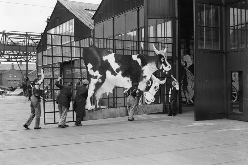 17th August 1934:  A cow is featured on this new set piece for the Blackpool illuminations. Men are transferring it from a workshop in Blackpool in preparation for the ?13,000 display which will contain 300,000 lights along a five mile stretch.  (Photo by Martin/Fox Photos/Getty Images)