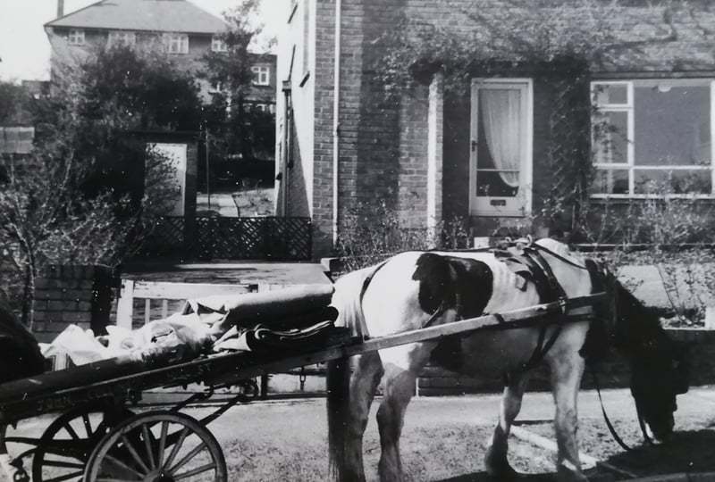 A horse-drawn rag and bone man's cart on Carter Knowle Avenue, Sheffield, in around 1969