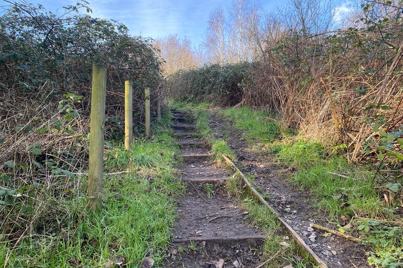 Steps and a muddy path take you up to the top of the mound 