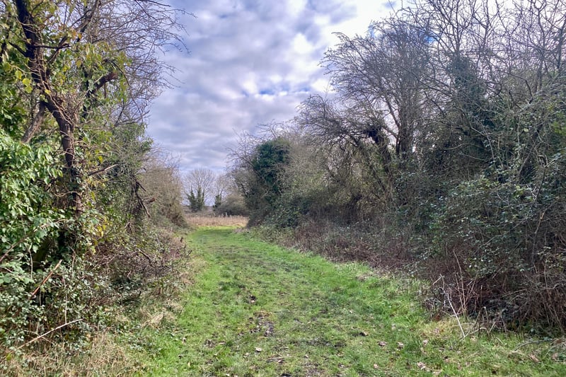 Hawfield Meadows is a nature reserve in South Bristol 