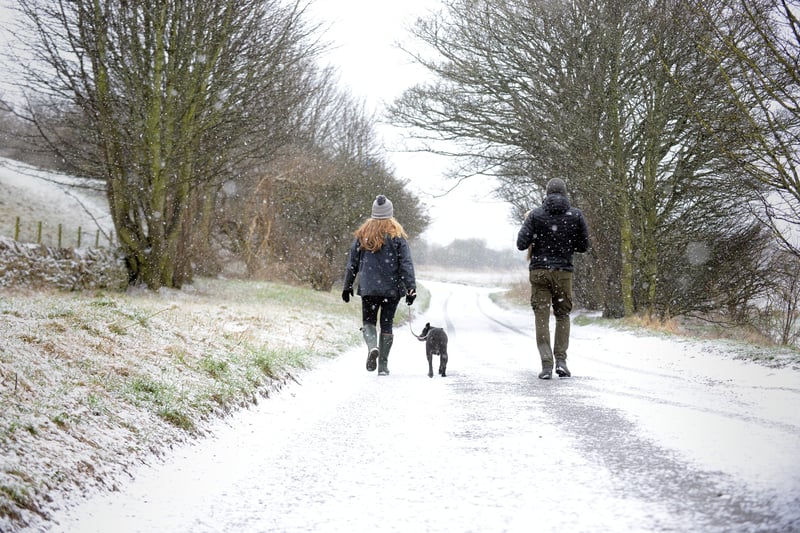 Dog owners taking their pet for a walk in the snowy conditions.