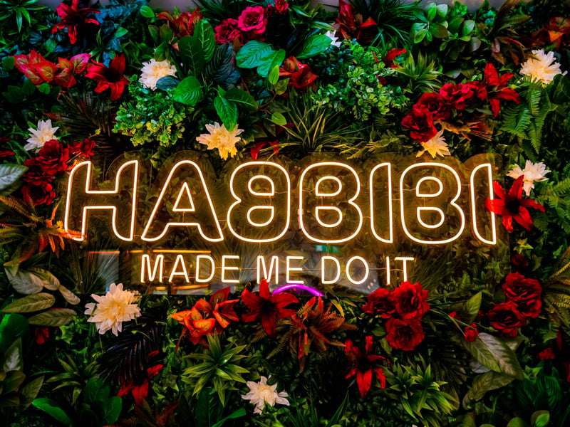 Habbibi has just opened in the former East 59th venue in Victoria Gate.