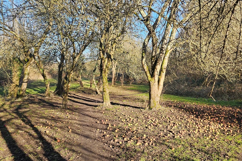 The large orchard is normally brimming with apples in the autumn according to the Avon Wildlife Trust.