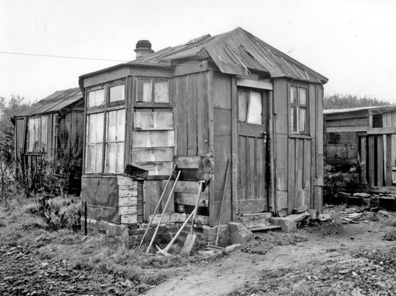 A residential hut at Meadowhead Allotments, Sheffield, in 1950, showing the 'squalid' living conditions