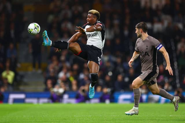 The former Wolves man has an outside chance of facing Newcastle United. He has been sidelined for most of the season with a hamstring injury but could return to action in the near future.