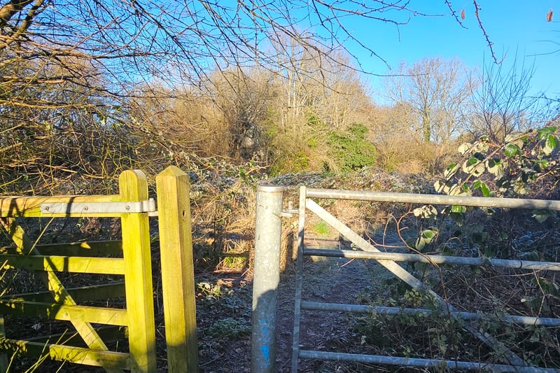 Visitors can use the entrance by Holly Lodge Close to access the main roads and Whitefield Road Allotments.
