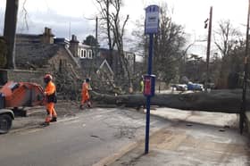 A weather warning has been issued for Sheffield, with gusts of over 50mph forecast. This file photo shows a tree which came down on Endcliffe Vale Road during Storm Otto in 2023