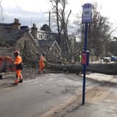 A weather warning has been issued for Sheffield, with gusts of over 50mph forecast. This file photo shows a tree which came down on Endcliffe Vale Road during Storm Otto in 2023