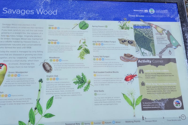 The Savages Wood information board includes a map of the nature reserve as well as information on the fauna and flora living in Savages Wood and an activity corner. We needed to use some water to defrost the board during our visit tin order to read it.
