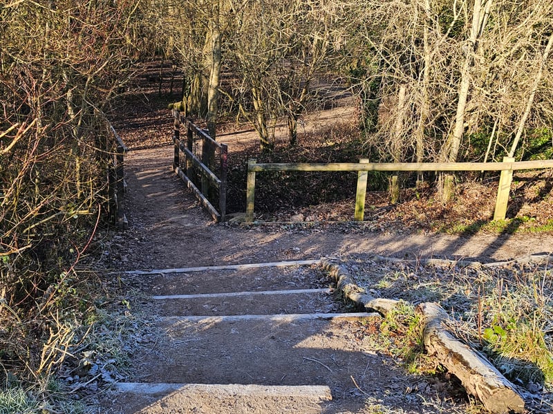 Steps behind the area by the library and leisure centre lead visitors into the Savages Wood section of the nature reserve.
