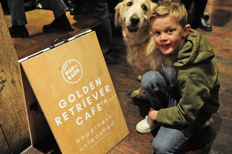 Jenson Lewis of Rodley with Prince at the Golden Retriever Cafe.