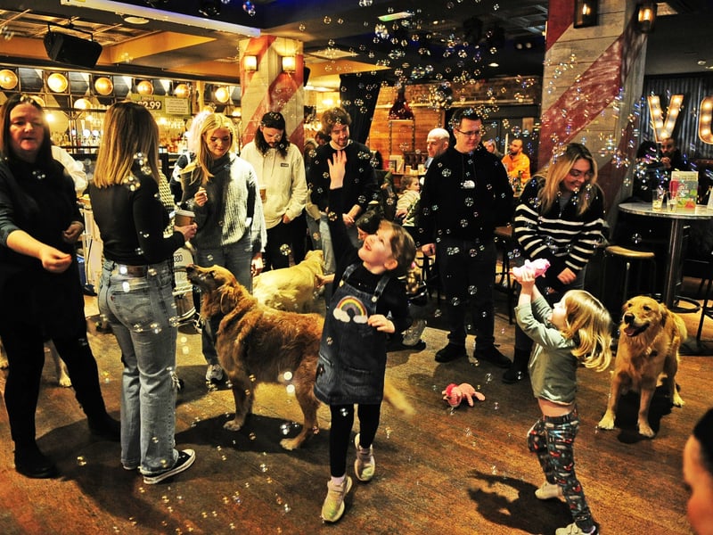 Adults, children and dogs alike enjoying the party.