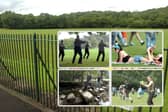 Residents have revealed who they think Endcliffe Park in Sheffield should be improved. Pictures: National World