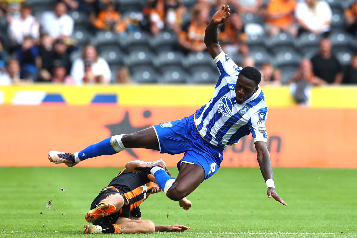 Big Sheffield Wednesday injury update as important Owl nears return to action