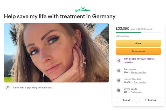 A screenshot of Amy Smith's GoFundMe page 72 hours after it was launched, when the total donations stood at more than £33,000.