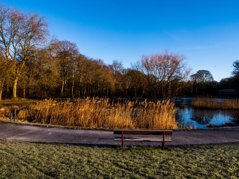 This park offers a superb mix of history and modern play. It is home to ancient woodland, a well-equipped children’s playground, a family-friendly café, and the renowned Leeds Urban Bike Park, offering free, thrilling cycling fun for all abilities. 📍 Town Street, Middleton, Leeds, LS10 3SH