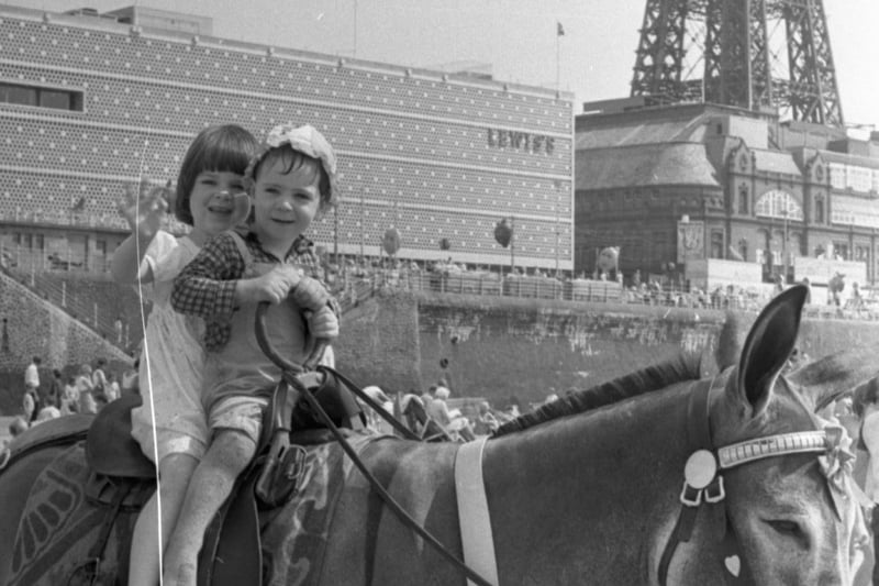 Amid all the glamour, fame and talent, Blackpool just would not be the same without the donkeys. Lucky the donkey backs up the fun for four-year-old Jennifer Frankland and her brother John, two. But the youngsters are no strangers to donkey rides. Their mum Eileen used to keep them as pets