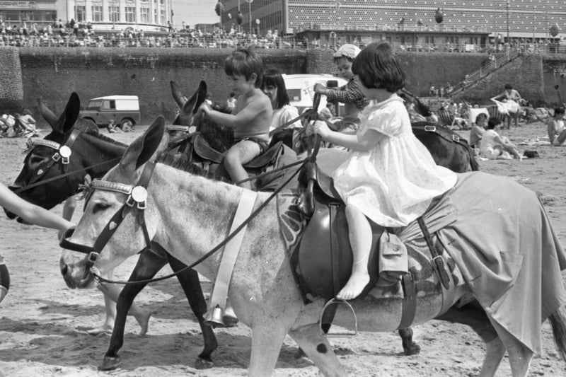 The picture on the back of this picture says: 'Amid all the glamour, fame and talent, Blackpool just would not be the same without the donkeys. Lucky the donkey backs up the fun for four-year-old Jennifer Frankland and her brother John, two. But the youngsters are no strangers to donkey rides. Their mum Eileen used to keep them as pets.'
